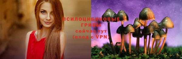 jwh Алзамай